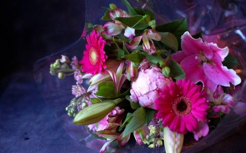 Image pink and white flowers on clear glass vase