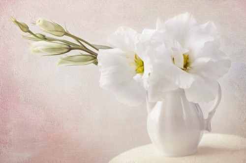 Image white flower in clear glass vase