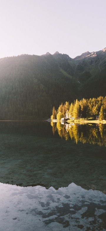 Image still body of water, body of water, water, mountain, plant