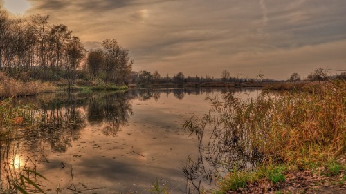 Image reflection, cloud, water, plant, water resources