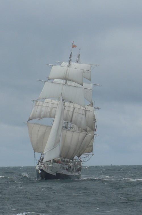 Image white sail boat on sea during daytime