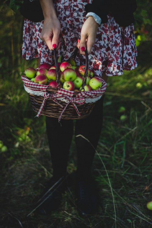 Image woman in purple and white floral dress holding basket of green apples