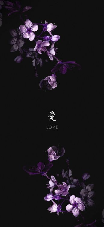 Flora, Veilchen, Wisgoon, Purpur, Blütenblatt. Wallpaper in 1080x2340 Resolution