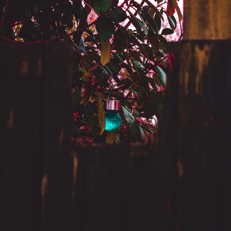 Guirlandes Lumineuses Bleues et Vertes. Wallpaper in 4000x4000 Resolution