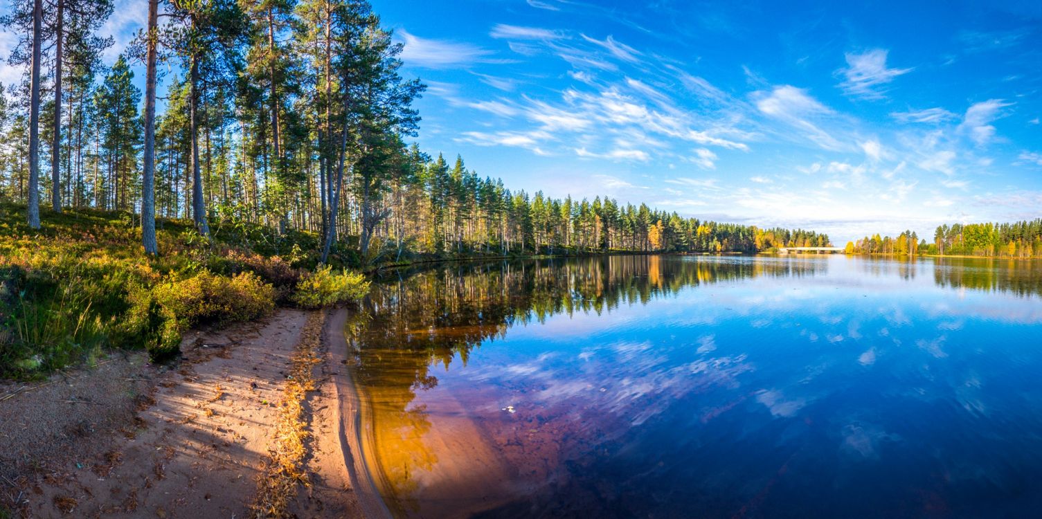 Green Trees Beside River Under Blue Sky During Daytime. Wallpaper in 2409x1200 Resolution