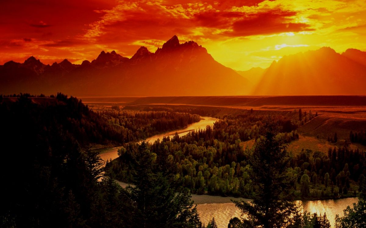 green trees near mountain during sunset