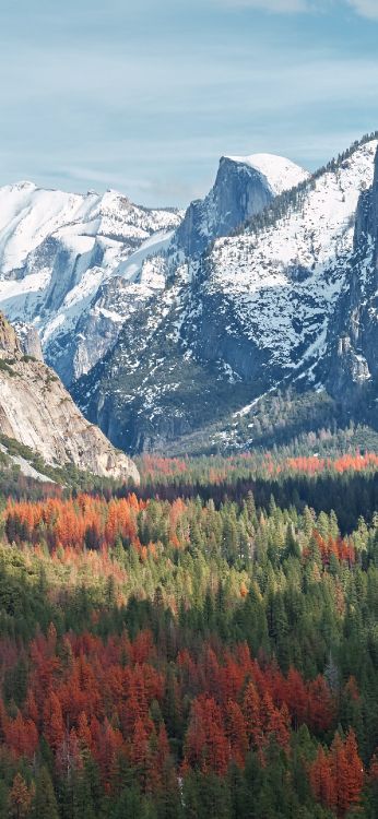 Yosemite National Park, Tunnelblick, Shenandoah-Nationalpark, Kanalinseln-Nationalpark, Nationalpark. Wallpaper in 1290x2796 Resolution