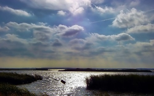 Image body of water under cloudy sky during daytime