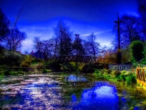 Image green trees near body of water during night time