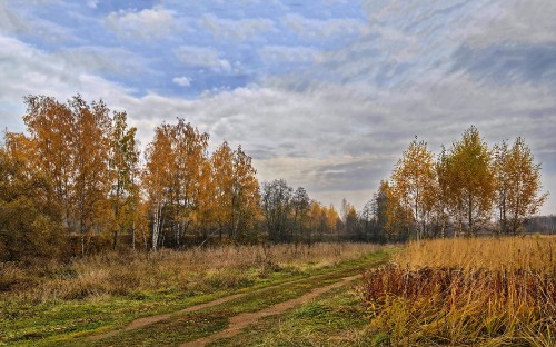 Image brown grass field under cloudy sky during daytime