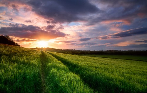 Image green grass field under cloudy sky during daytime