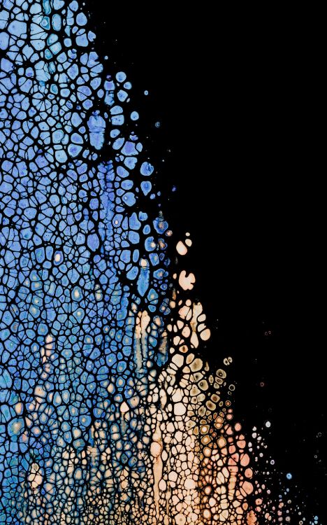 内, OLED, 苹果, Ios, 对称 壁纸 1900x3040 允许