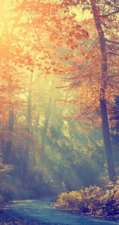 Atmosphère, L'écorégion, Les Gens Dans la Nature, Nature, Paysage Naturel. Wallpaper in 1080x2040 Resolution