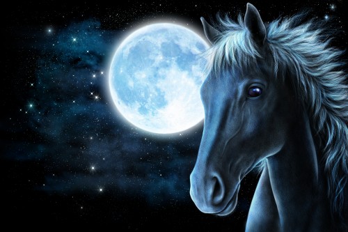 Image white horse head with moon background