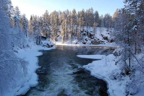 Image snow covered trees and river during daytime