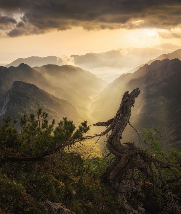 Natur, Bergigen Landschaftsformen, Naturlandschaft, Hochland, Baum. Wallpaper in 3800x4500 Resolution