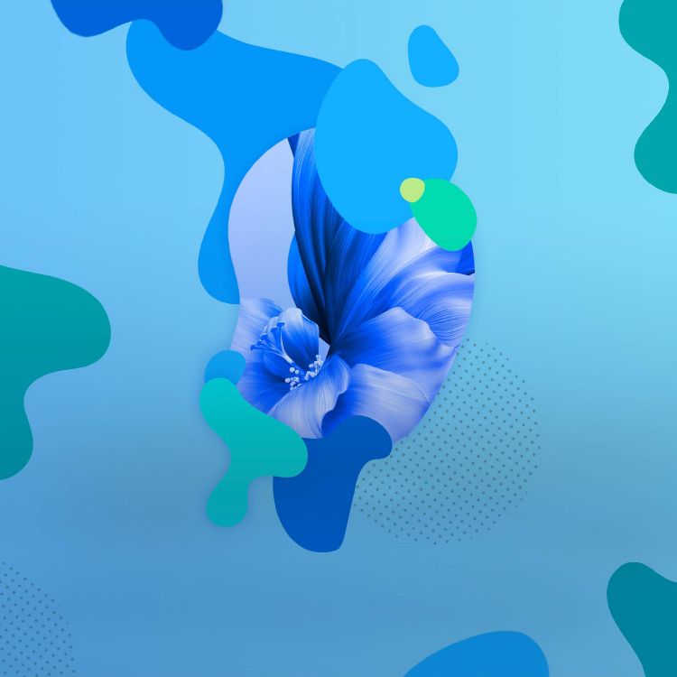 Huawei Nova, Huawei Nova 5, 新星5i, 华为nova 5i, 华为nova 5 Pro 壁纸 2310x2310 允许