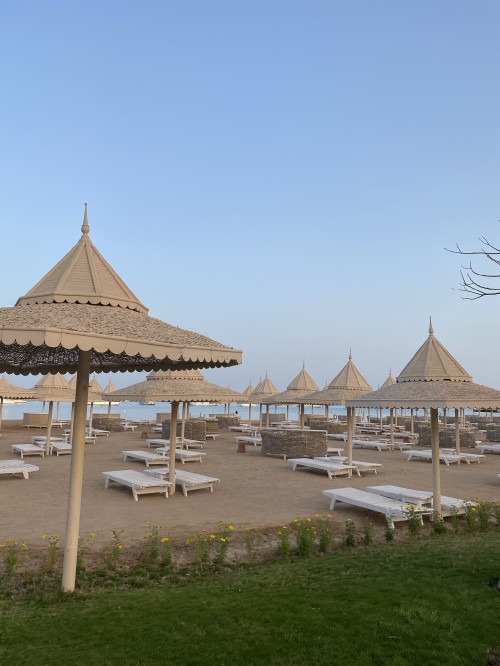 Image roof, plant, shade, leisure, horizon