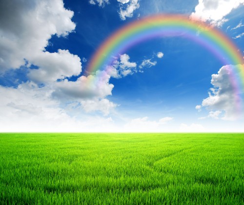 Image green grass field under blue sky and white clouds during daytime