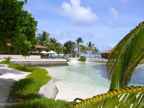 Image white and brown wooden house near body of water during daytime