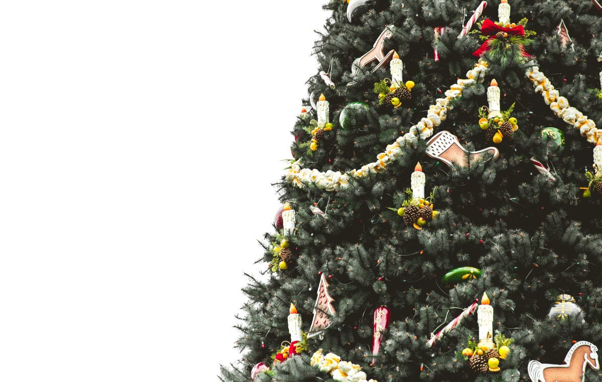 圣诞树, 圣诞节那天, 圣诞节和节日, 木本植物, Evergreen 壁纸 5242x3331 允许