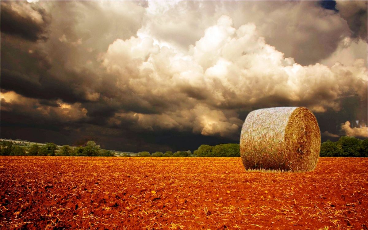 brown hays on brown field under white clouds