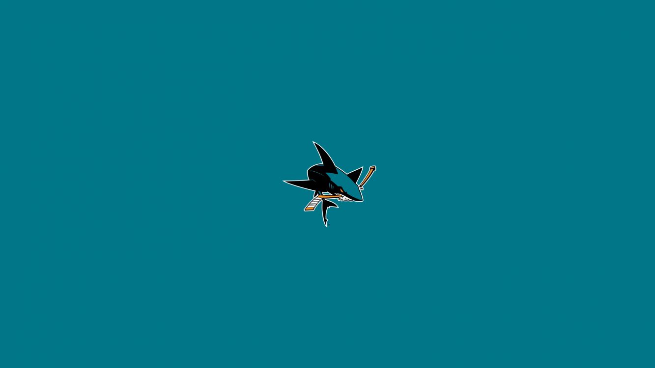 Weißer Und Schwarzer Vogel, Der in Den Himmel Fliegt. Wallpaper in 2560x1440 Resolution