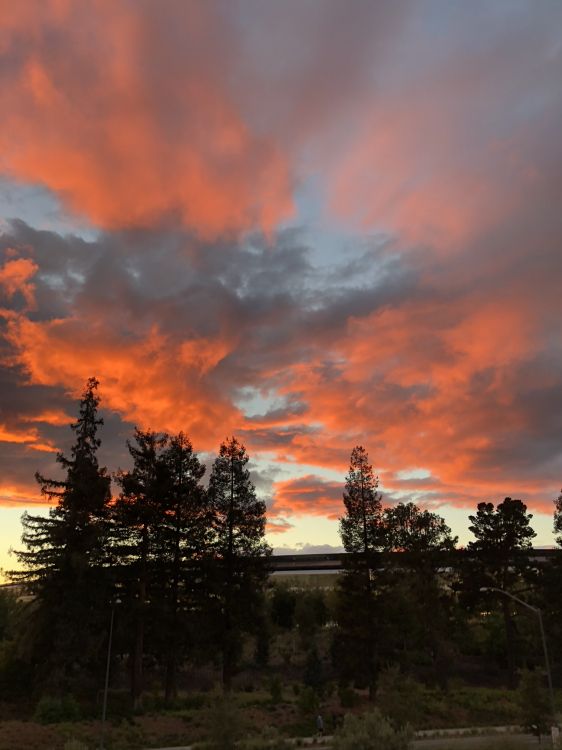 Corps de L'eau, Route, Nature, Nuit, Végétation. Wallpaper in 1536x2048 Resolution