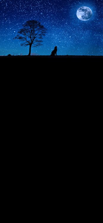 月亮, 蓝色的月亮, 气氛, 黑色的, 斜坡 壁纸 1080x2340 允许