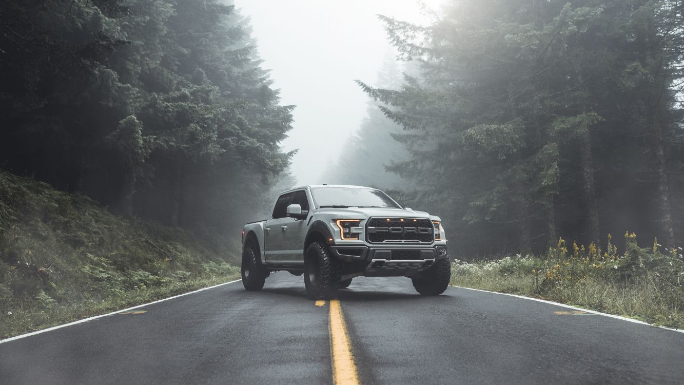 Ford Ranger 2019, Ford Ranger, Coche, Ford Motor Company, Shelby Mustang. Wallpaper in 3840x2160 Resolution