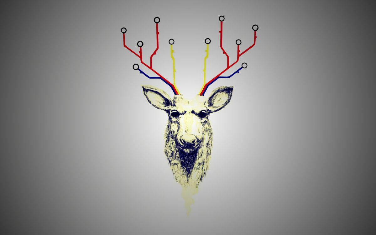 鹿角, 驯鹿, 图形设计, 喇叭 壁纸 2560x1600 允许