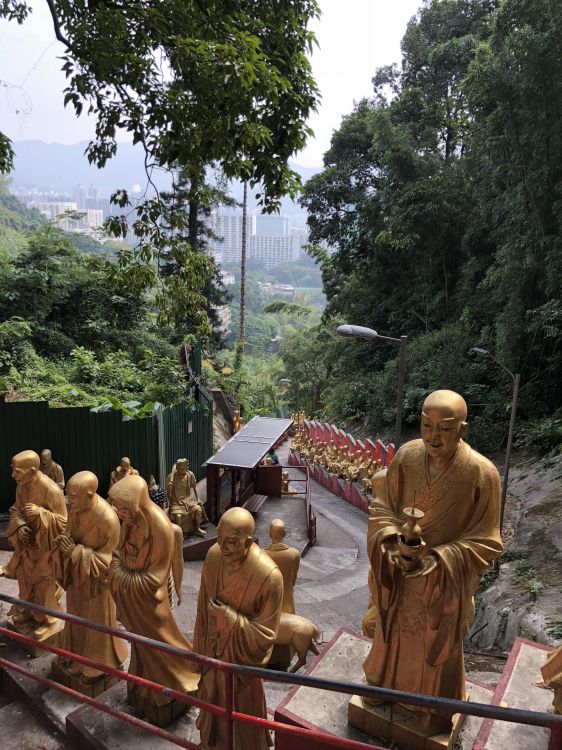 旅游业, 科学, 生物学, 礼拜的地方, 寺庙 壁纸 1536x2048 允许