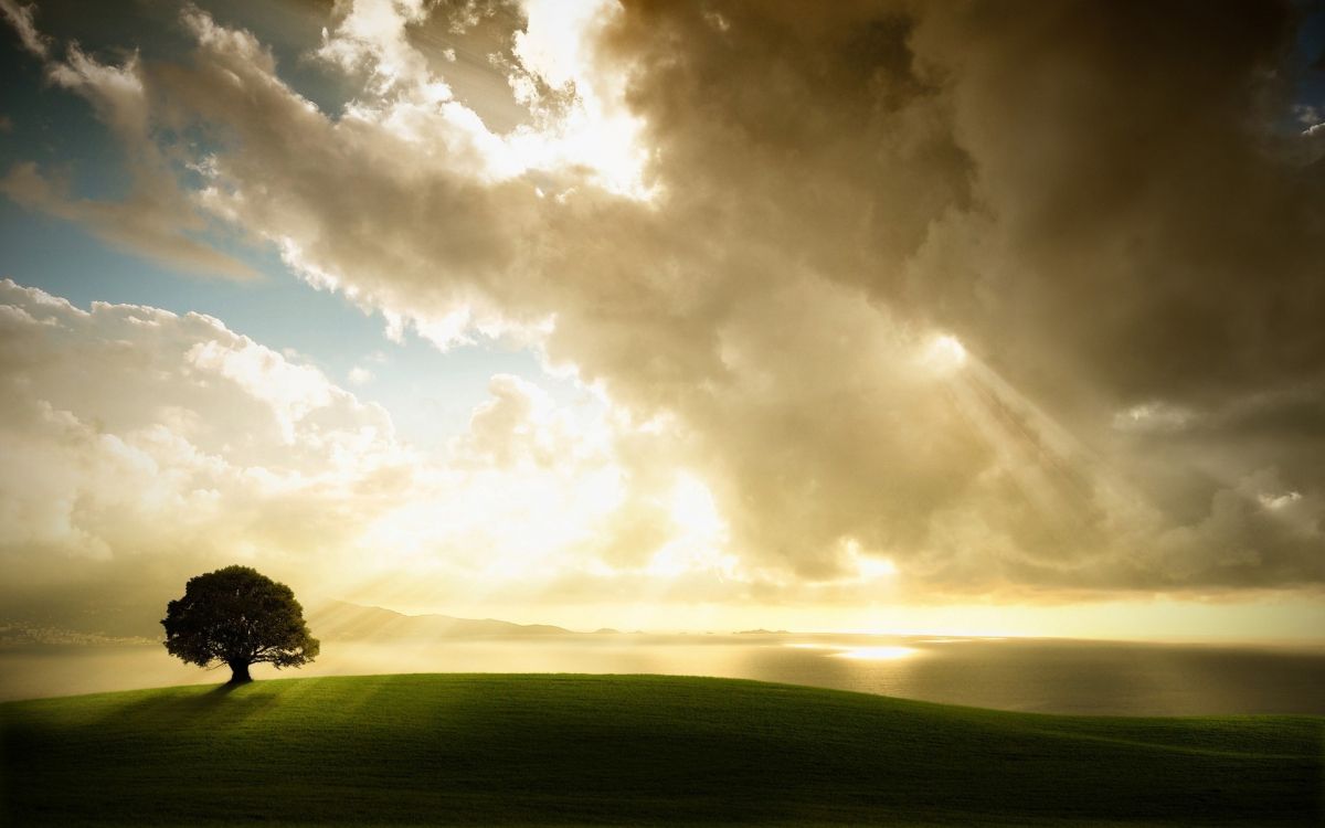 Champ D'herbe Verte Sous Les Nuages Blancs. Wallpaper in 1920x1200 Resolution