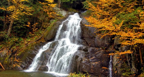 Image water falls in the forest