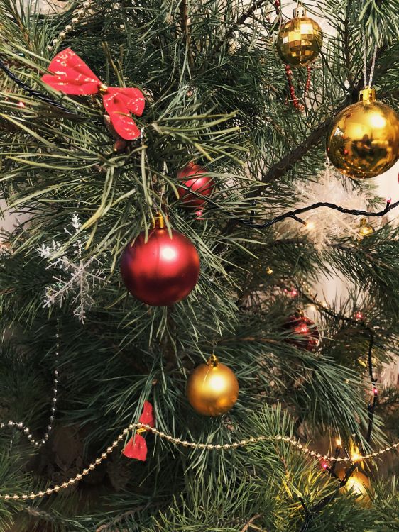 Christmas Ornament, Weihnachten, Weihnachtsbaum, Fir, Weihnachtsdekoration. Wallpaper in 3024x4032 Resolution