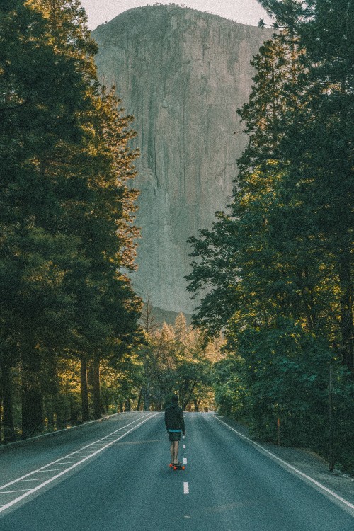 Image black asphalt road between green trees during daytime