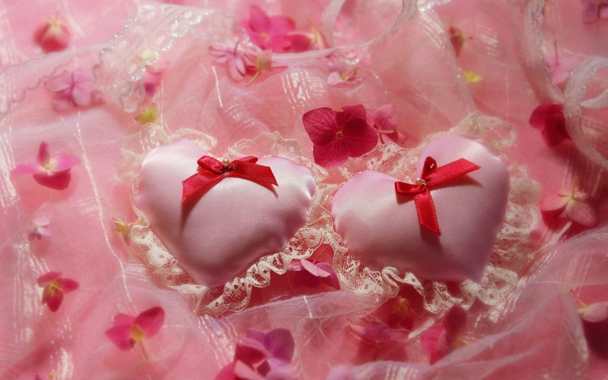 Pink, Blütenblatt, Herzen, Liebe, Valentines Tag. Wallpaper in 2560x1600 Resolution