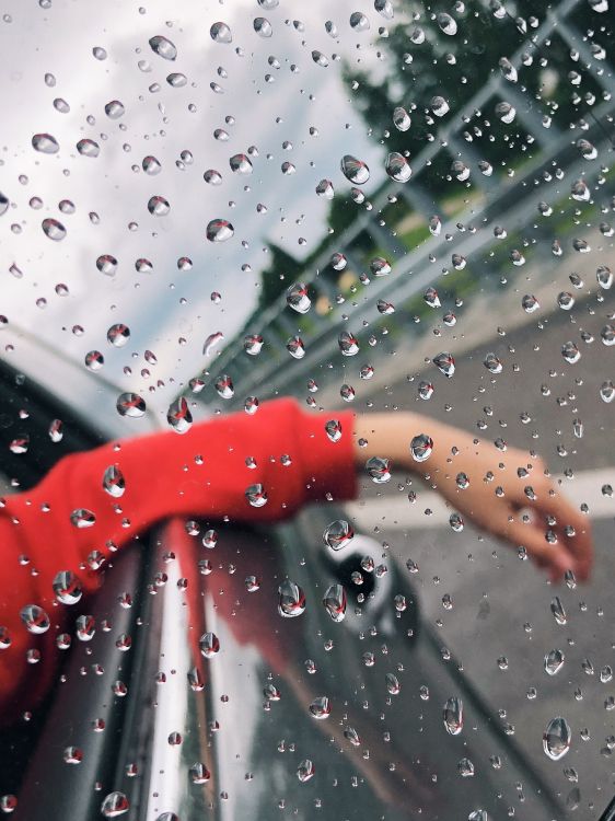 Regen, Flüssigkeit, Tropfen, Feuchtigkeit, Nieselregen. Wallpaper in 3024x4032 Resolution