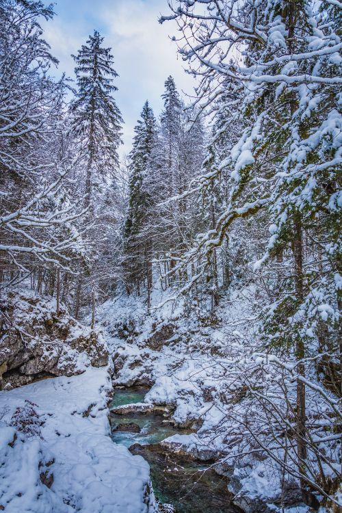 snow, water, cloud, plant, natural landscape