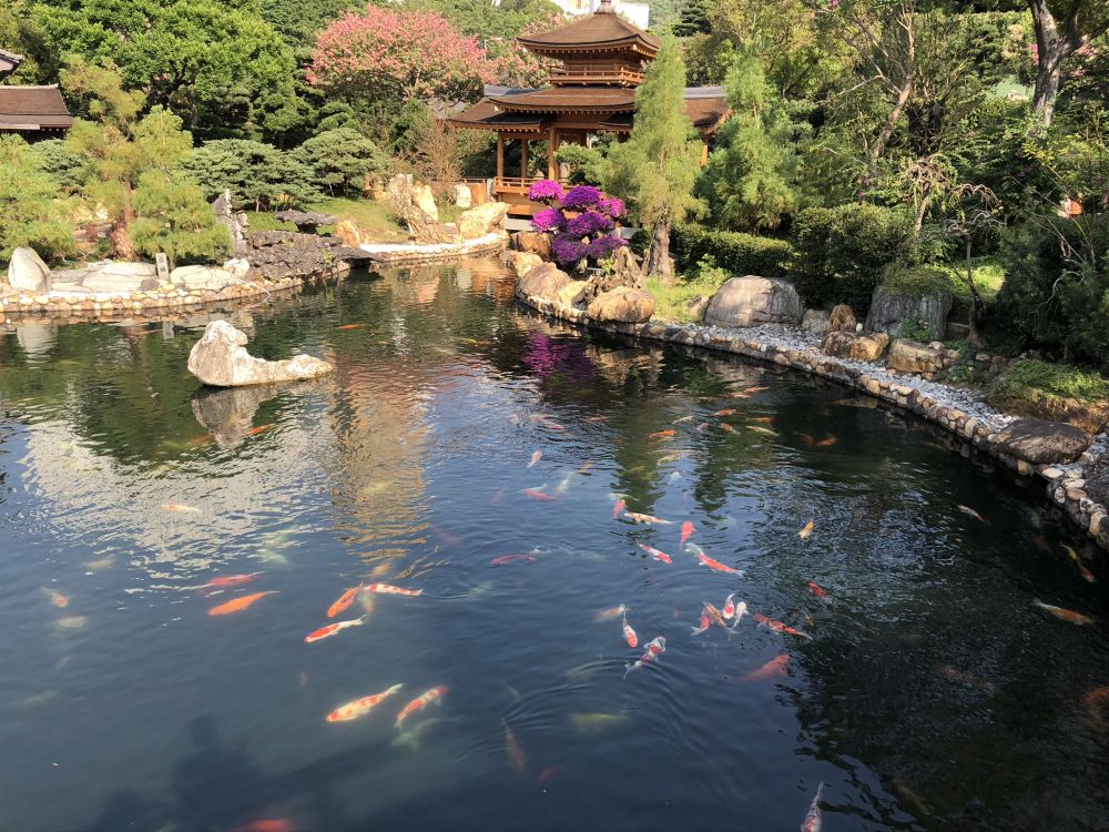 Réflexion, Cours D'eau, Garden, Les Ressources en Eau, D'eau. Wallpaper in 2048x1536 Resolution