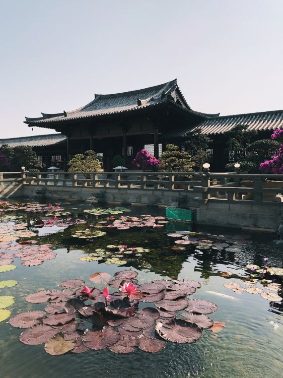 Réflexion, Tourisme, Eau, Attraction Touristique, Corps de L'eau. Wallpaper in 3024x4032 Resolution