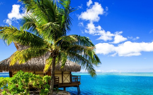 Image brown wooden cottage on beach shore during daytime