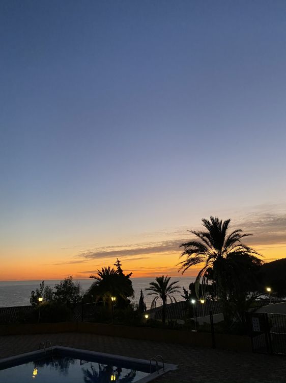 Palme, Sonnenuntergang, Sonnenaufgang, Afterglow, Abend. Wallpaper in 1536x2048 Resolution