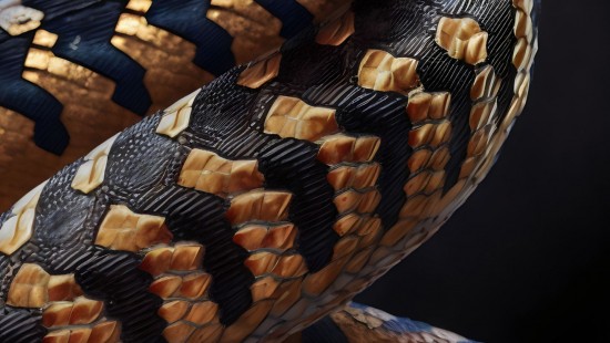 Image common garter snake, reptiles, bullsnake, kingsnakes, Corn snake