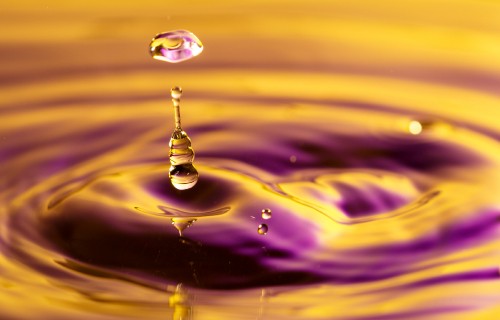 Image water, drop, colorfulness, liquid, purple