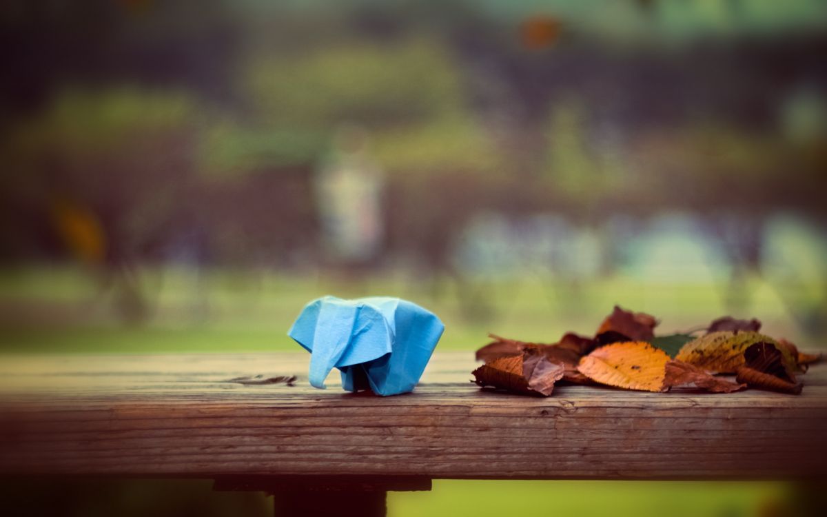 blue textile on brown wooden bench