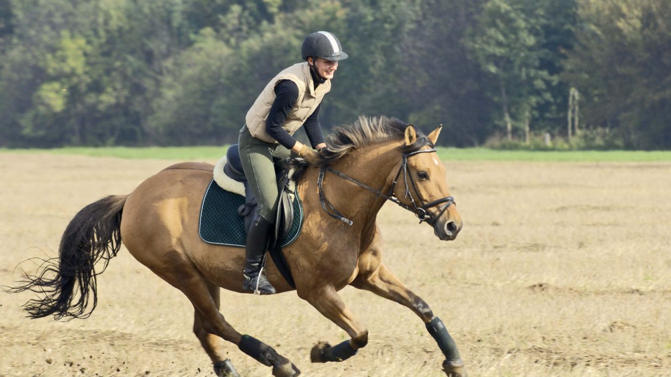 man in black jacket riding brown horse during daytime