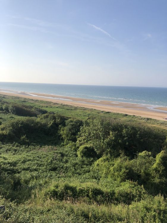 Arbustos, Estepa, la Vegetación, la Comunidad Vegetal, Ecorregión. Wallpaper in 1536x2048 Resolution