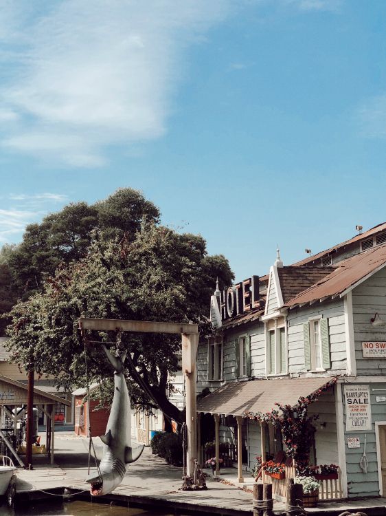 Toit, Biologie, Sciences, Ville, Flowerpot. Wallpaper in 3025x4032 Resolution