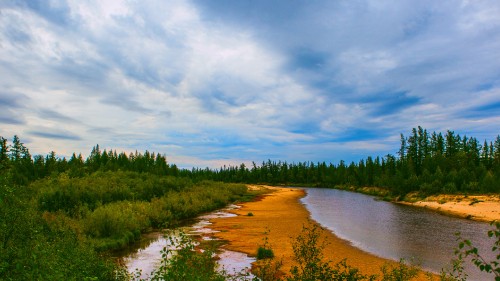 Image green trees beside river under cloudy sky during daytime